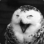A Happy Owl