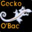 [LK] GeckoOBac