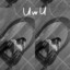 Faulo