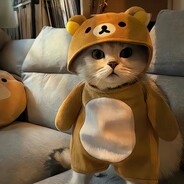 等秋风落入思念