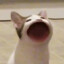 Kwasong