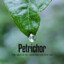 Petrichor