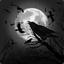 Raven