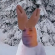 Шляпоухий заяц