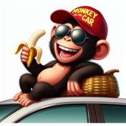 _MonkeyOnTheCar_