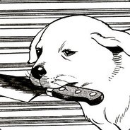 hec - steam id 76561198282501473