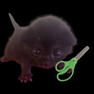 Zudi