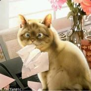 phelikx - steam id 76561197960510145