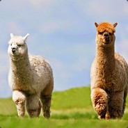selvalp - steam id 76561197963727944