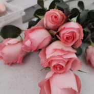 TheonlyplayboyinPerth