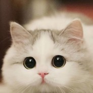 皮皮一点也不憨批