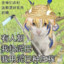 Ver
