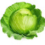 Капуста 🥬