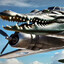 bombardirocrocodilo