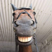 KONIK Steam avatar