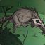 The Rabid Raccoon