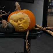 樂樂嘻嘻不嘻嘻