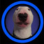 Pato_4561