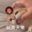 疏影