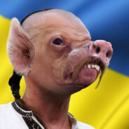 труп свиньи