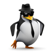 pengu` - steam id 76561199819529431