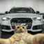 Richboy1337