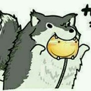 被timing了你别急