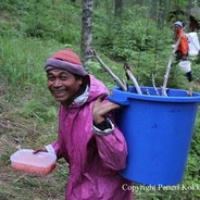 vietnamese rice farmer