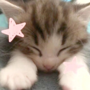 𝘼𝙜𝙖𝙞𝙣＿