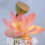 80岁老人两眼昏花