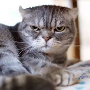 酷酷的时光（其他号吃鸡种）