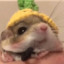 Rui