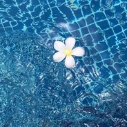 西瓜瓜西其实还是西