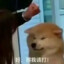 亍
