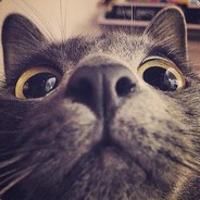 Big Avatar