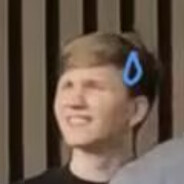 跟着冬青树一路向南