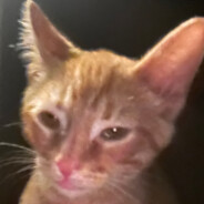 houseclothes enjoyer