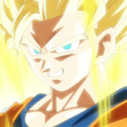 我是一个小菜鸡