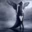 FallenAngel