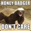 Honey badger