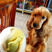 爱的魔力转圈圈