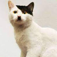 kittler