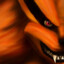 KURAMA