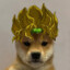 Dio-89232991281