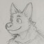 A Good Boy