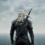 The Witcher