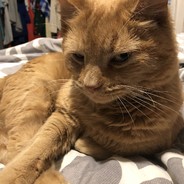 Rambo