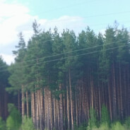 механик артем