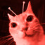 evil kep