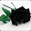 -DarkRose2k-